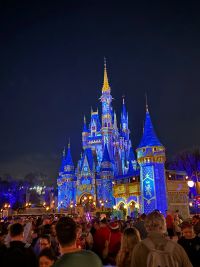 Adventure Ted at a Disney castle